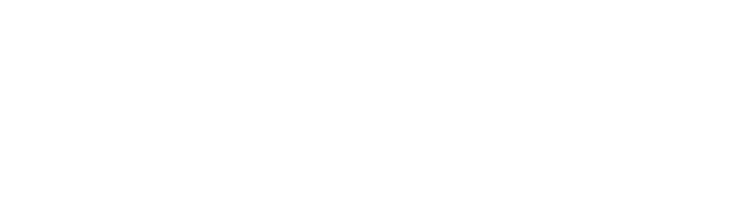 VORA